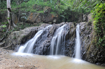 Waterfall/stream in a deep rain forest.