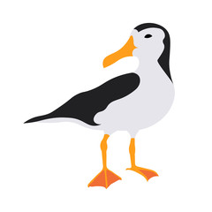 Illustration of cute albatross. Cartoon albatross flashcard. Vector illustration for kids education.