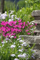 a stone garden with beautiful colorful flowers in the summer