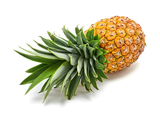 Pineapple tropical fruit isolated on white. Juicy healthy vitamin food. Organic whole sweet pineapple for tropic juice. Fresh exotic ripe pineapple fruit, clipping path. Full depth of field