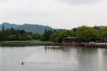 China Hangzhou Stadt und Teeplantage 