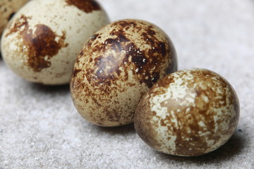 many fresh quail eggs for cooking