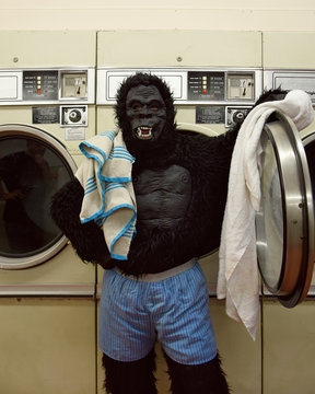 Responsible Gorilla Doing Laundry