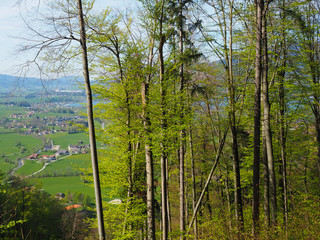 Wandern am Mondsee