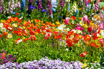 Fototapeta premium Festival of flowe
