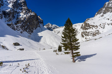 Mala Studena dolina in the winter. Tatra Mountains. Slovakia. © Jacek Jacobi