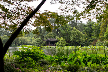 China Hangzhou Stadt und Teeplantage 