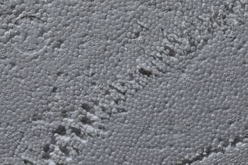 texture of old dirty shabby foam.