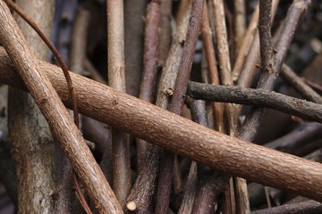 Scenic view of a heap of wood