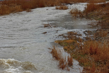 냇가 황토 비물