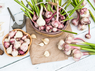 Raw Vegetables Fresh Harvest. Garlic Cloves and Garlic Bulb on a white wooden rustic table