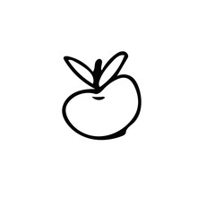 apple with leaf hand drawn in doodle style. simple scandinavian liner.