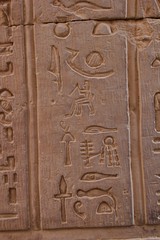 hieroglyphs in an egyptian temple