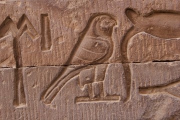 hieroglyphs in an egyptian temple