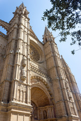 Fototapeta na wymiar Palma Cathedral in Palma de Mallorca