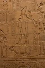 hieroglypics