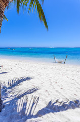 Fototapeta na wymiar beach with palm trees, the Morne, Mauritius 