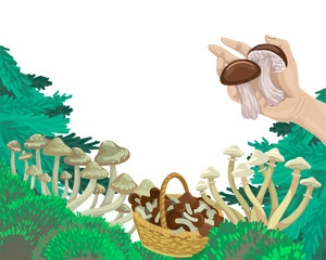 Mushrooms in the forest, pick mushrooms in the basket, the hand holds the fruit. Vector concept illustration.