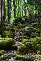 Mountain, landscape, nature