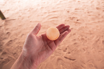 turtle egg