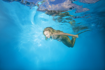 A girl in a mermaid costume poses underwater in a pool. Young beautiful girl poses underwater in the pool.