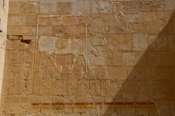 hieroglyphics on egyptian temple wall