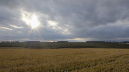 sunset over wheat field