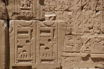 hieroglyphics on egyptian temple wall