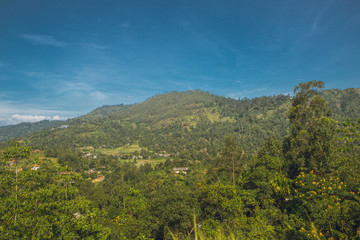 Obraz premium view of mountains