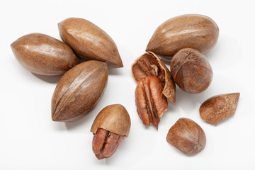 Pecan nuts isolated on white background. Carya illinoinensis