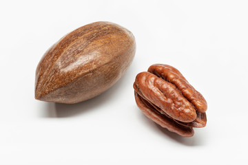 Pecan nut isolated on white background. Carya illinoinensis