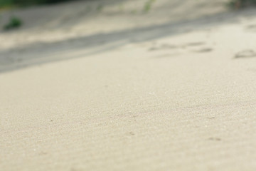 summer sand beach close-up and small sand dunes