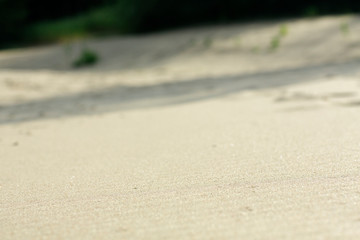 summer sand beach close-up and sand dunes and green trees background