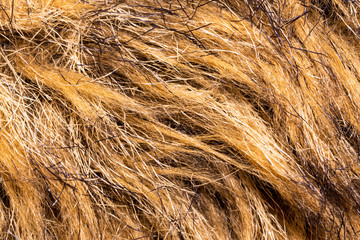 faux fur background on brown soft toy
