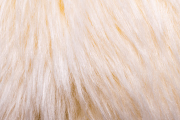 faux fur background on brown soft toy