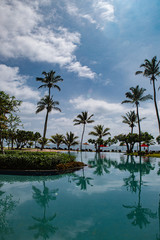 Obraz premium palm trees on the beach