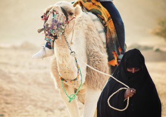 Kamel und Frau