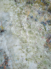 Surface of a grungy dry cracking parched earth