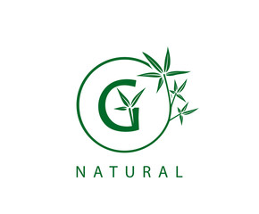 G Letter Green Bamboo Logo Design.