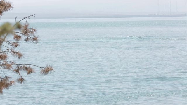 Guy learns how to sail surfing on Lake Sevan (Armenia). Armenia 10 August 2019. 