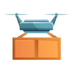 Package drone delivery icon. Cartoon of package drone delivery vector icon for web design isolated on white background