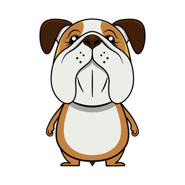 Cute little Bulldog standing mascot, best for emoticons or T-Shirt design Cartoon Vector