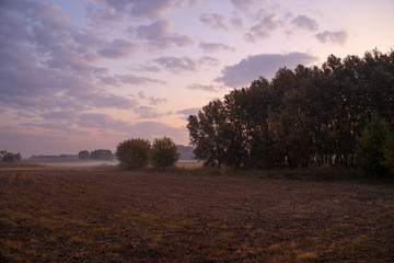 Fototapeta na wymiar Field with a forest belt at morning. The sun comes up behind the trees. Beautiful colorful cloud spread out over the sky.
