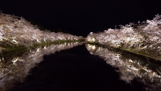 Hirosaki park cherry blossom trees matsuri festival light up at night in springtime. Beauty full bloom pink sakura flowers in west moat with lights illuminate. Aomori Prefecture, Tohoku Region, Japan