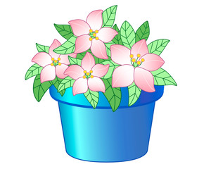 Blue flowerpot with pink flowers vector drawing. Beautiful, lush flowers and green leaves in a blue flower pot. Outline. Gardening and botanical illustration. Indoor plant.