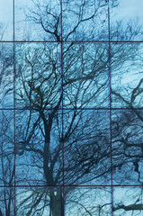Obraz premium reflection of sky and trees in a stained glass window
