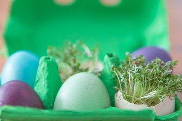Decorative handmade easter egg present box with eggs and cress. Beautiful decoration easternest basket with painted eggshells for celebration. Lovely traditional gift design on wooden background