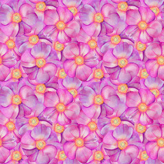 Seamless pattern with rose hips.