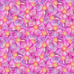 Seamless pattern with rose hips.