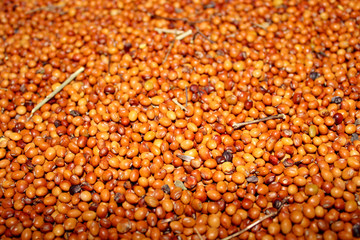 Dry Pigeon Peas